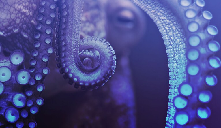 Catch scams before they catch you