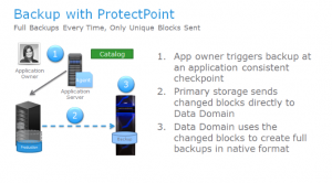 Protection Backup with ProtectPoint