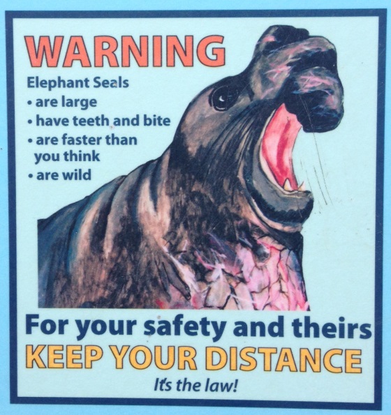 beware-seals