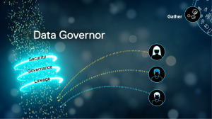 data-governor