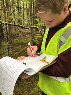 boy standing in forest writing on clip board