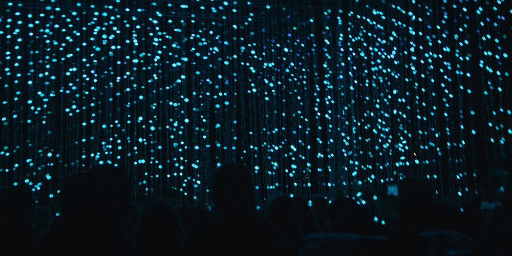 crowd of people standing in front of strings of blue lights
