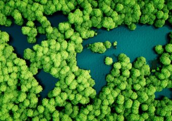 3D illustration of world's continents as lakes in a rain forest.