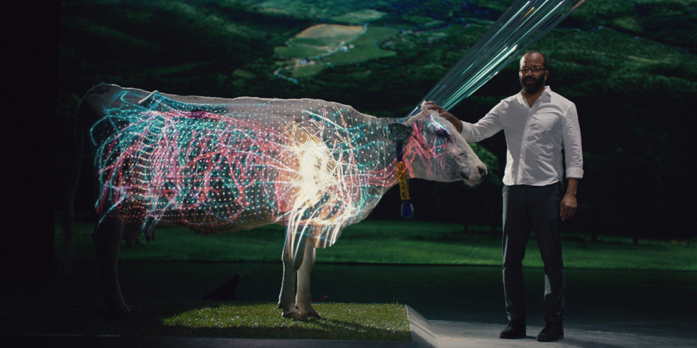 scene from dell commercial with digital cow
