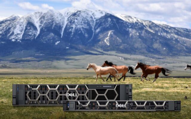 Horses running free on an open plain with mountains in the background and Dell PowerEdge servers appearing in the foreground.
