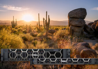 Saguaros in the desert with the sun appearing just over mountains in the background. Dell PowerEdge servers appear in the foreground.