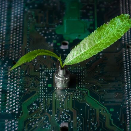 Digital image of a seedling sprouting from a motherboard. Leaves of the seedling have digital circuits.