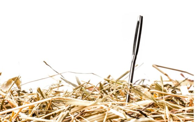 Closeup of a needle in a haystack or pile of hay, against a white background.