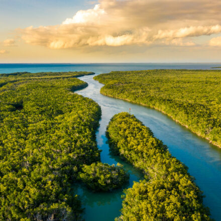 An aerial view of wetlands in the late afternoon or early evening in Everglades National Park in southern Florida.